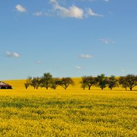 Autrécourt-sur-Aire