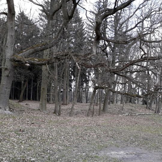 Viereckschanze in Mšecké Žehrovice