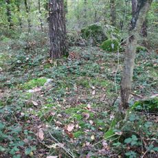 Großsteingrab Steineiche