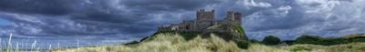 Panoramic View 1