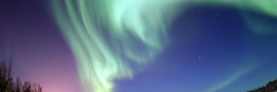 Sandi Grace Profile Cover