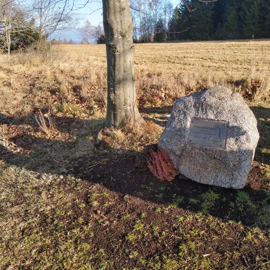 Pomník Petru Nedvědovi