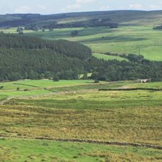 Whitley Castle