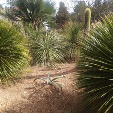 The John Fairey Garden
