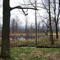 Park in Kowary Ciszyca