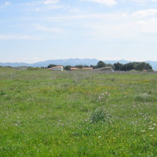 Necropoli di Tarquinia