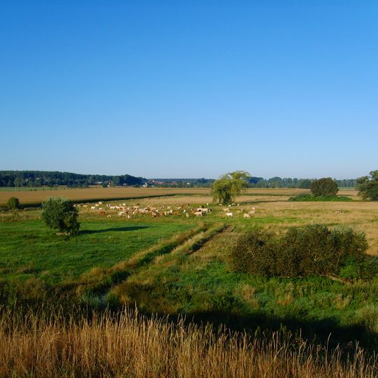 Untere Pulsnitzniederung