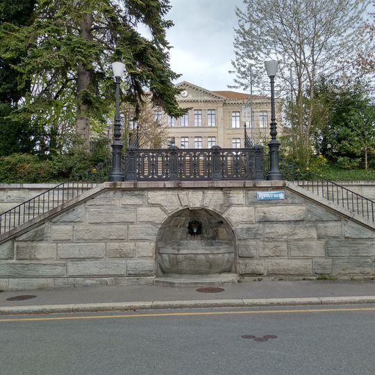 Wandbrunnen mit wasserspeiendem Löwenkopf