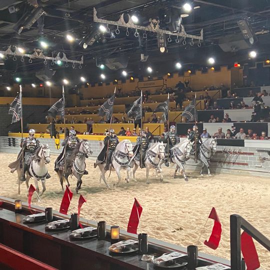 Medieval Times Dinner & Tournament