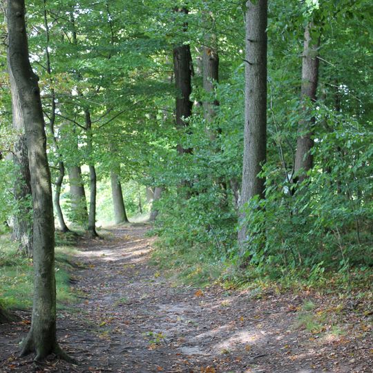 Park leśny przy nadleśnictwie