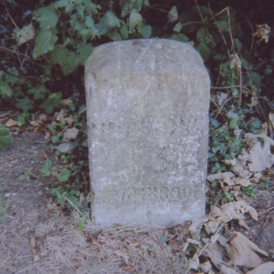 Milestone, Angley Road, Wilseley Green, e of Waterloo Road