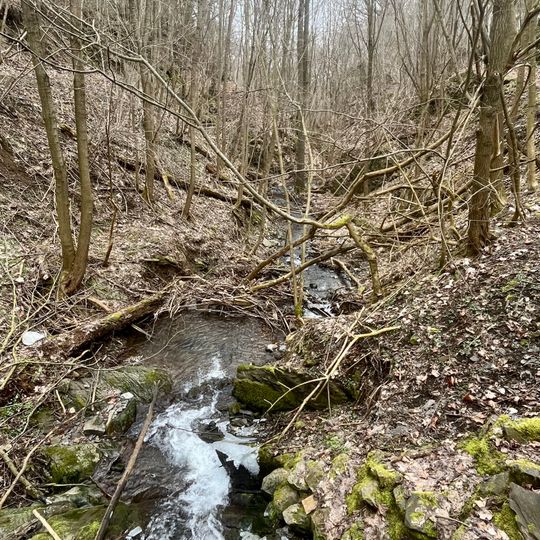Naturschutzgebiet Sondertal und Talgraben bei Bad Wildungen