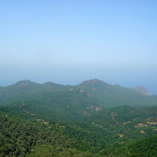 Distretto di Annaba
