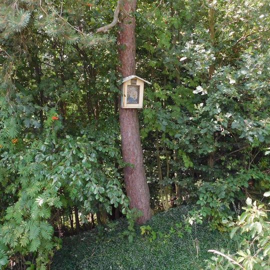 Obrázek u Rovenska v úvoze