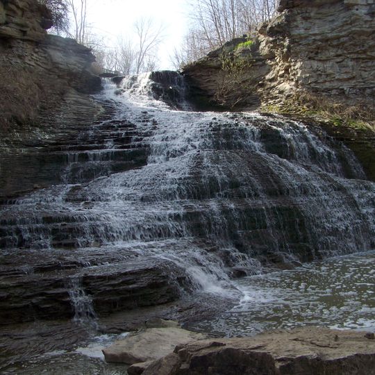 Beamer Memorial Conservation Area