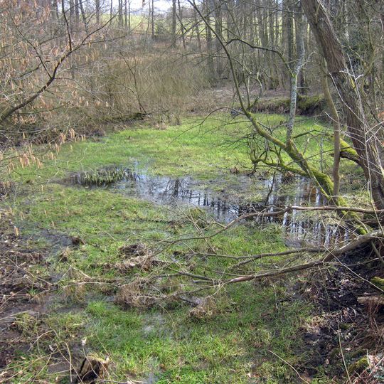 Töckelhausener Bachtal