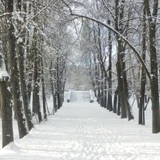 Kharitonov Garden