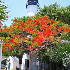 Key West lighthouse