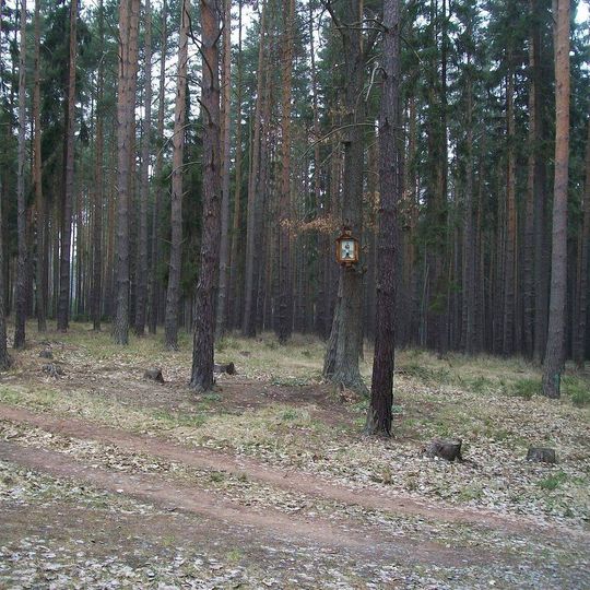 Obrázek na stromě v lese mezi Plasy a Mrtníkem