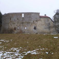 Burgruine Reichenau