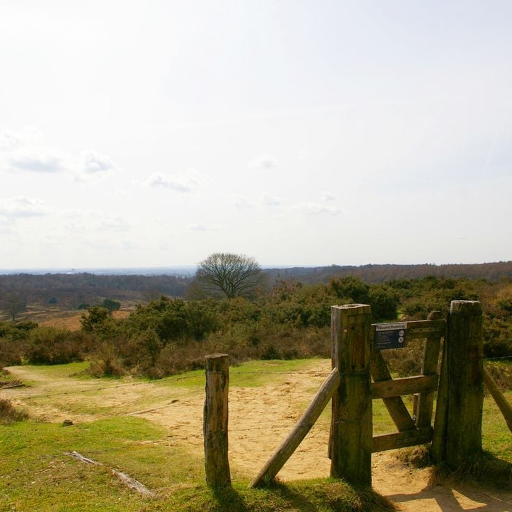 Nationaal Park Veluwezoom