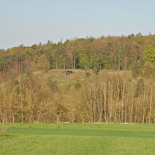 Hammelrain/Oberer Wannenberg