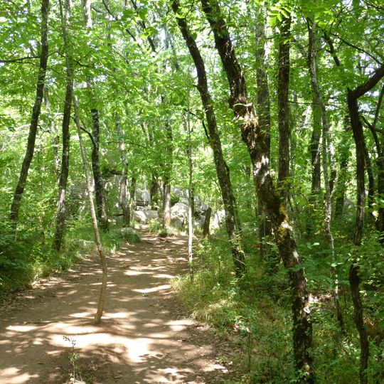 Circuit Vert de la Vierge