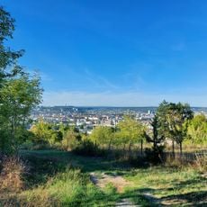 Point de vue Sapinière