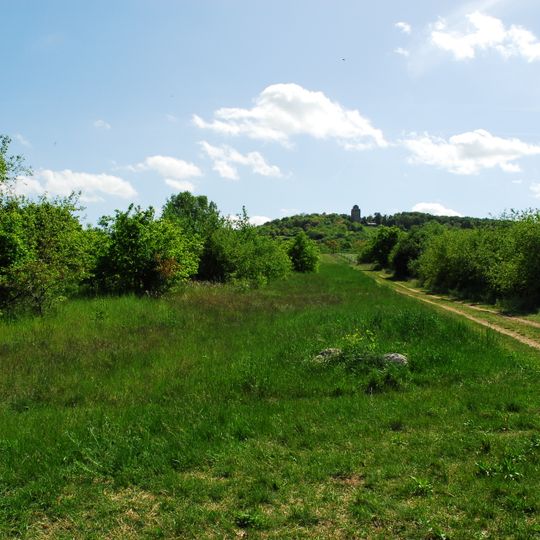 Nordausläufer Westerberg