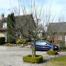 Petersteeg 1,  8355CB  Giethoorn