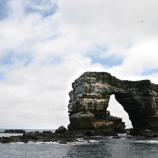 Darwin Island
