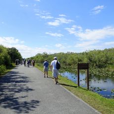 Shark Valley Tram Road