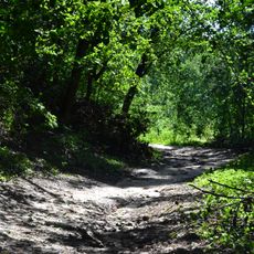 Park pałacowy, Trzcianka