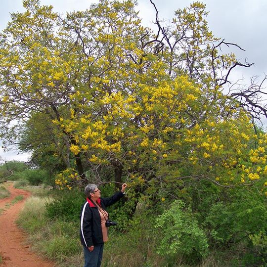 Blouberg Nature Reserve