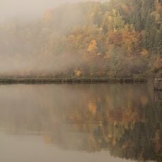 Hangwälder im Tal der Großen Mühl