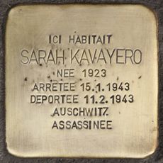 Sarah Kavayero