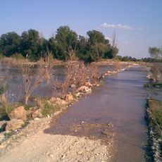 Riserva naturale Isola Boschina