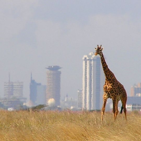 Nairobi National Park