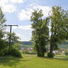 3 Linden im Gewann „Spatzenklinge“