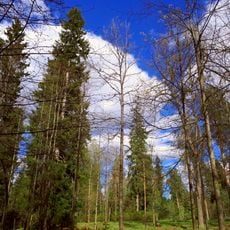 Парк (Вартемяги)