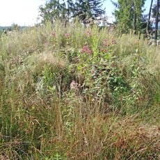 Hügelgräber Pichlberg