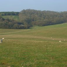 Combe Wood and Linkenholt Hanging
