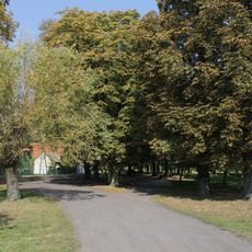 Manor park in Witosław