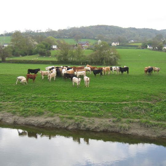 Bausley with Criggion