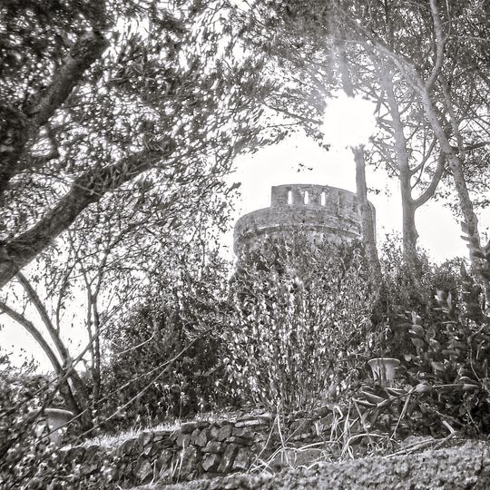 Torre di Marina di Campo