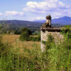 Mare de Déu de la Pietat (Sant Gregori)