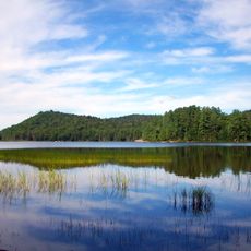 Brown Tract Pond