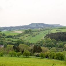 LSG-Tal am Suedhang des Humberges