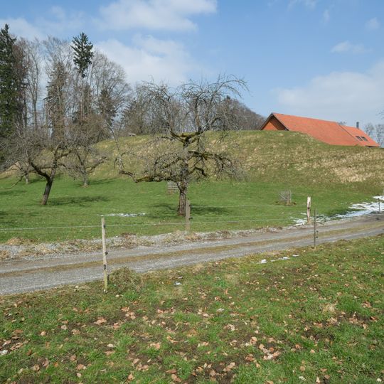 Ringgenburg