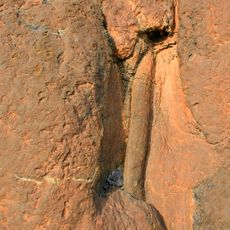 Carboniferous forest of Verdeña